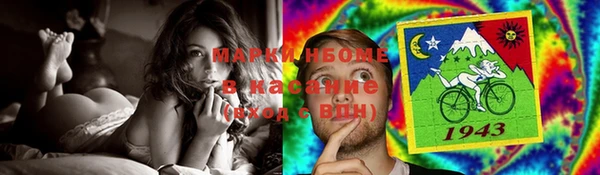 хмурый Арсеньев
