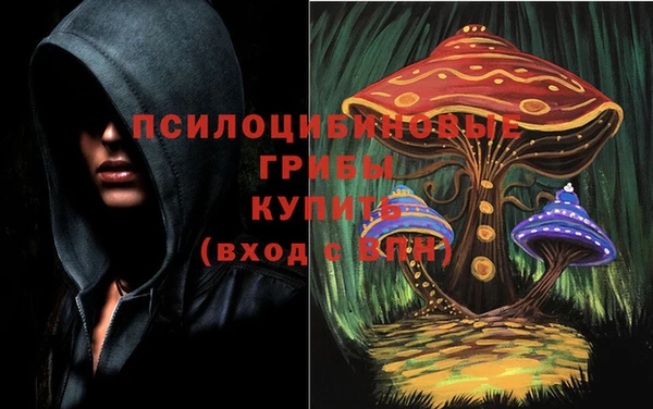 ешки Балахна