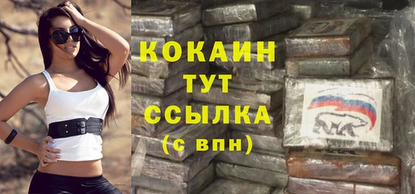 хмурый Арсеньев
