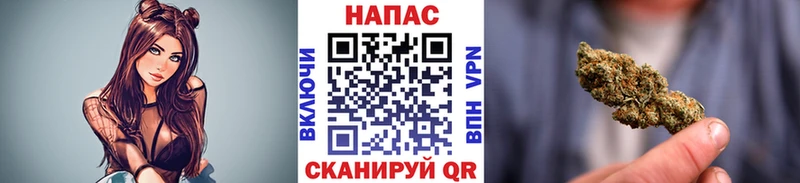 Канабис Bruce Banner Сосновый Бор
